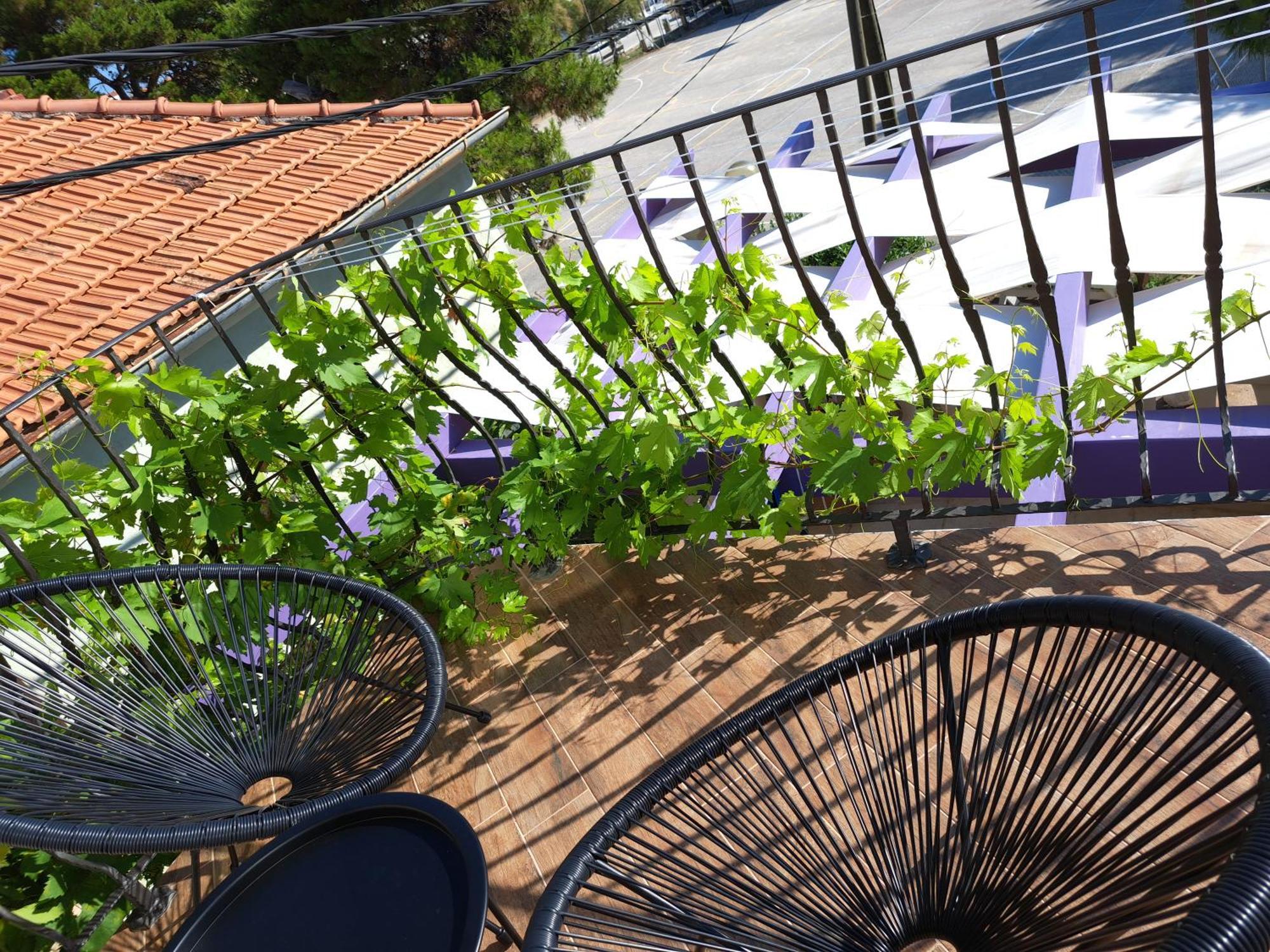 Jardin Kapetanova Kuca Apartment Veli Iz Luaran gambar