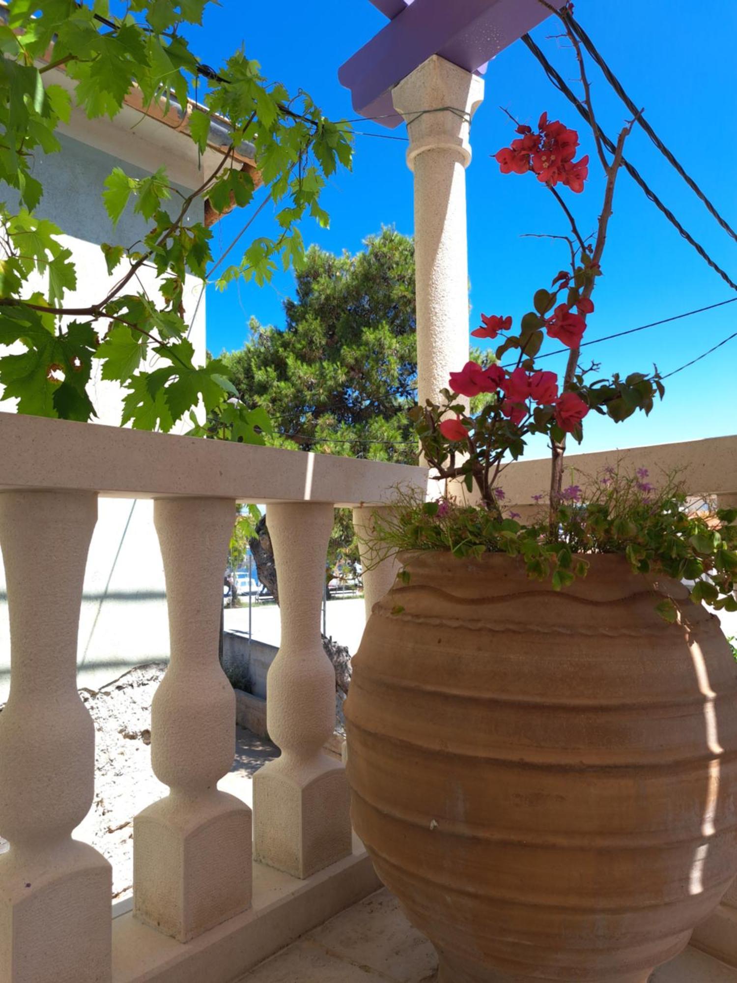 Jardin Kapetanova Kuca Apartment Veli Iz Luaran gambar